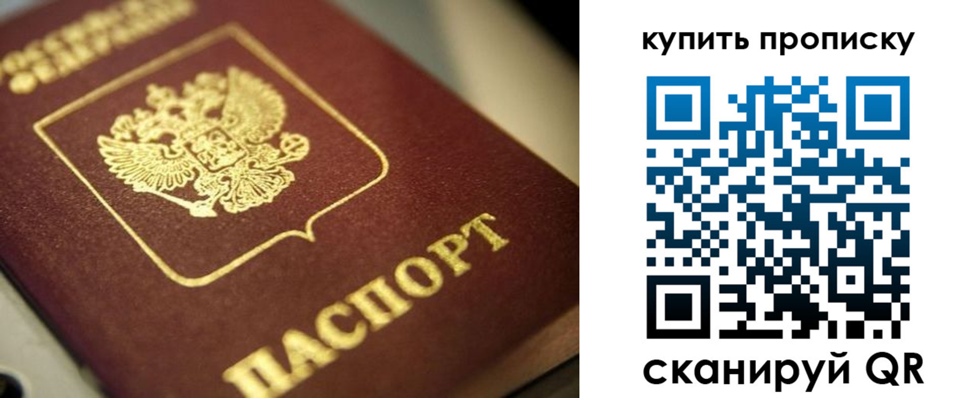прописка поиск в Волоколамске